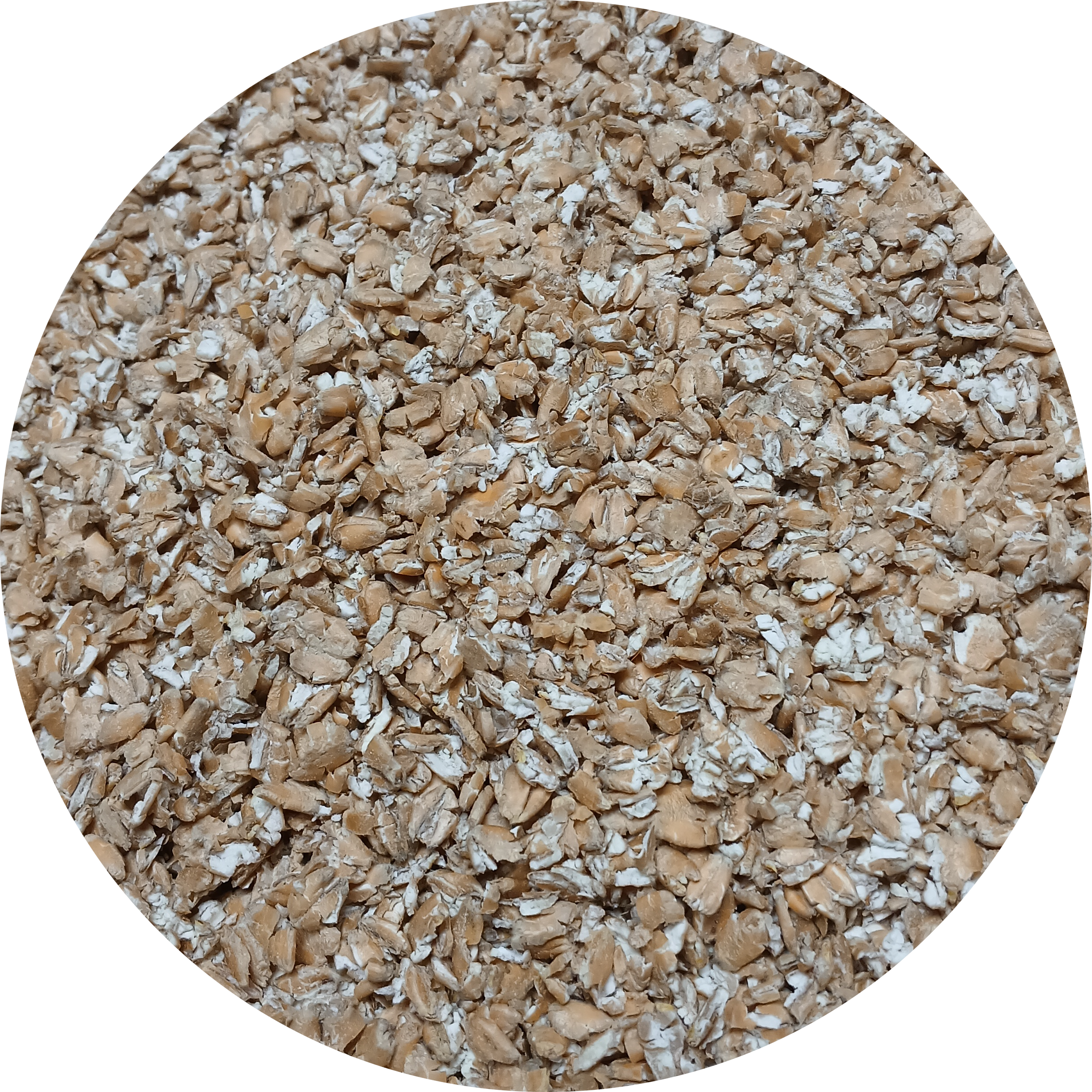 Geplette tarwe gebuild